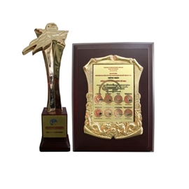 CÚP VÀNG DOANH NGHIỆP TIÊU BIỂU