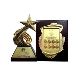 CÚP VÀNG LÃNH ĐẠO XUẤT SẮC