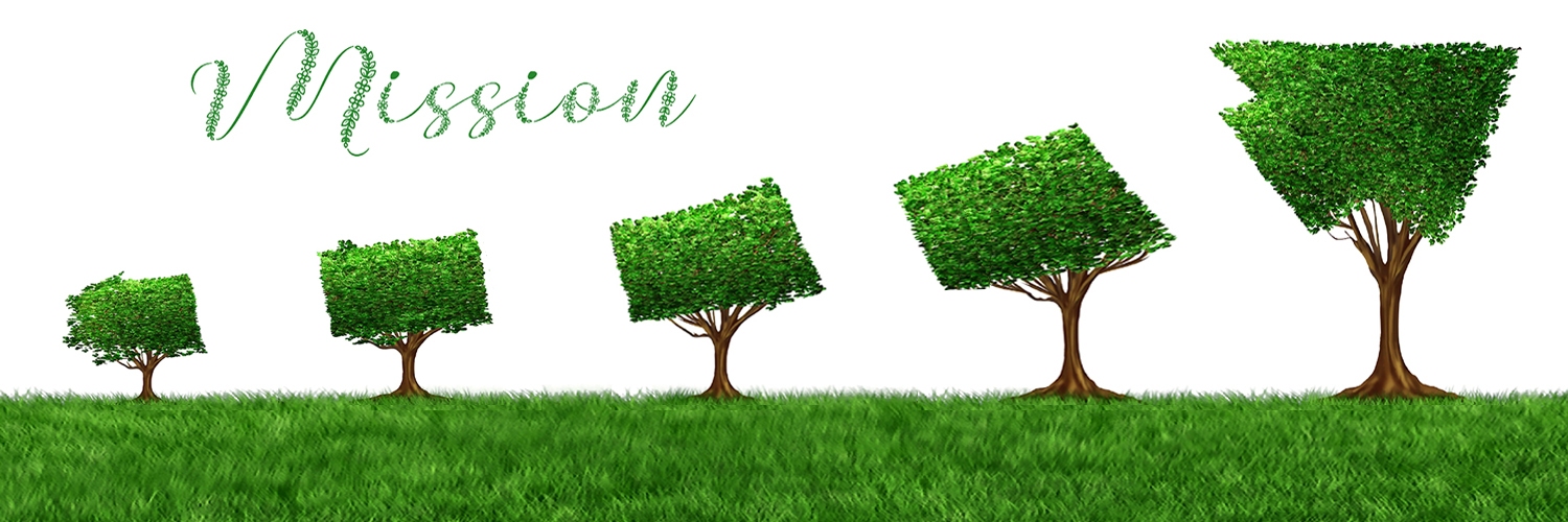 Lịch sử hình thành